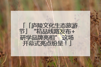 「庐陵文化生态旅游节」“精品线路发布+研学品牌亮相” 这场开幕式亮点纷呈！