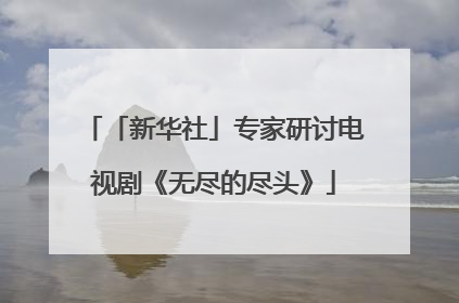 「新华社」专家研讨电视剧《无尽的尽头》