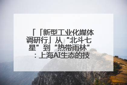 「新型工业化媒体调研行」从“北斗七星”到“热带雨林”：上海AI生态的技术商业共生密码
