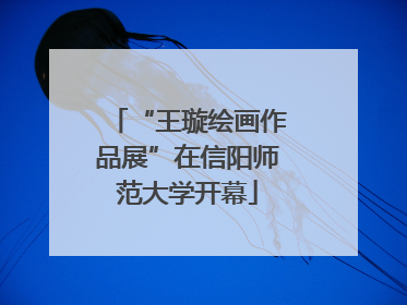 “王璇绘画作品展”在信阳师范大学开幕