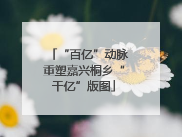 “百亿”动脉重塑嘉兴桐乡“千亿”版图