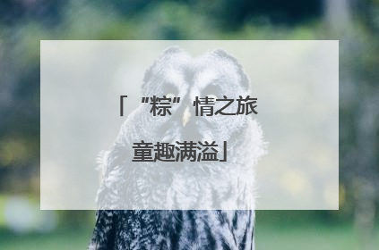 “粽”情之旅 童趣满溢