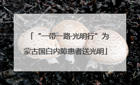 “一带一路·光明行”为蒙古国白内障患者送光明