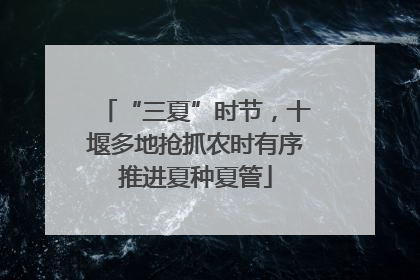 “三夏”时节，十堰多地抢抓农时有序推进夏种夏管