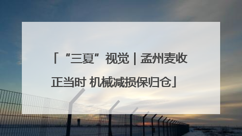 “三夏”视觉｜孟州麦收正当时 机械减损保归仓