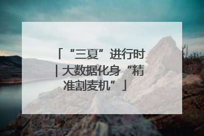 “三夏”进行时｜大数据化身“精准割麦机”
