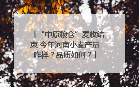 “中原粮仓”麦收结束 今年河南小麦产量咋样？品质如何？