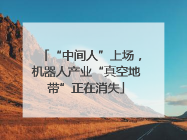 “中间人”上场，机器人产业“真空地带”正在消失