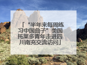 “半年来每周练习中国曲子”美国托莱多青年走进四川南充交流访问
