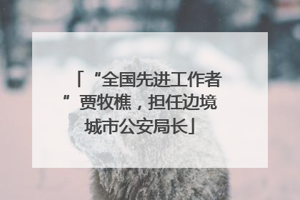 “全国先进工作者”贾牧樵，担任边境城市公安局长