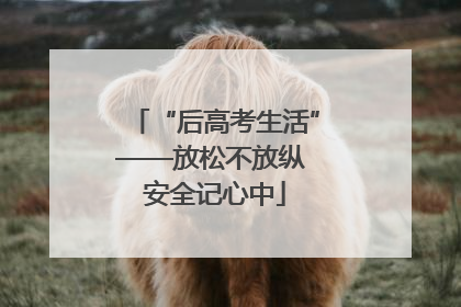 “后高考生活”——放松不放纵 安全记心中