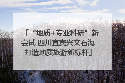 “地质+专业科研”新尝试 四川宜宾兴文石海打造地质旅游新标杆