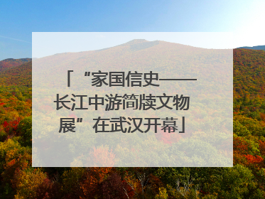 “家国信史——长江中游简牍文物展”在武汉开幕