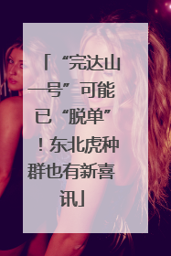 “完达山一号”可能已“脱单”！东北虎种群也有新喜讯