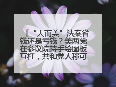 “大而美”法案省钱还是亏钱？美两党在参议院持手绘图板互杠，共和党人称可节省约5000亿美元，民主党人称将增加4.45万亿美元赤字