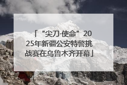 “尖刀·使命”2025年新疆公安特警挑战赛在乌鲁木齐开幕