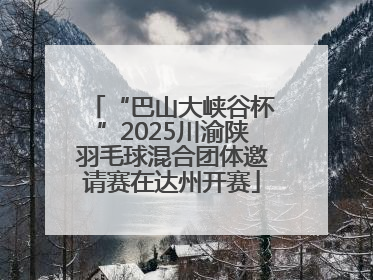 “巴山大峡谷杯”2025川渝陕羽毛球混合团体邀请赛在达州开赛