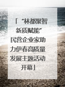 “林都聚智 新质赋能”民营企业家助力伊春高质量发展主题活动开幕