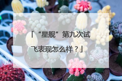 “星舰”第九次试飞表现怎么样？