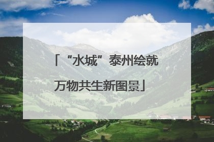 “水城”泰州绘就万物共生新图景
