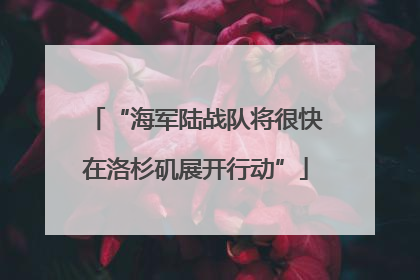 “海军陆战队将很快在洛杉矶展开行动”