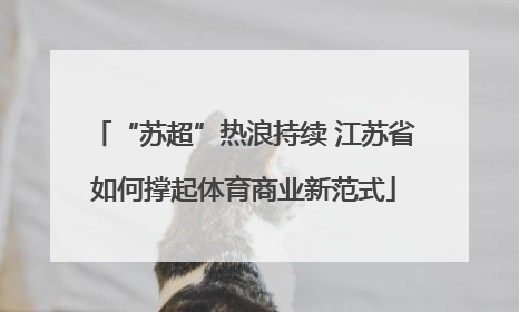 “苏超”热浪持续 江苏省如何撑起体育商业新范式
