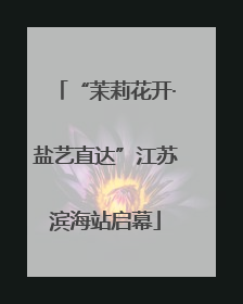 “茉莉花开·盐艺直达”江苏滨海站启幕