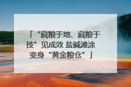 “藏粮于地、藏粮于技”见成效 盐碱滩涂变身“黄金粮仓”