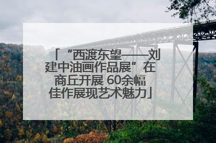 “西渡东望——刘建中油画作品展”在商丘开展 60余幅佳作展现艺术魅力