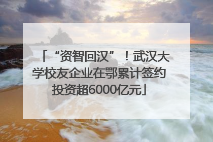 “资智回汉”！武汉大学校友企业在鄂累计签约投资超6000亿元