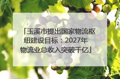 玉溪市提出国家物流枢纽建设目标：2027年物流业总收入突破千亿