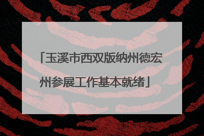 玉溪市西双版纳州德宏州参展工作基本就绪