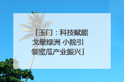 玉门：科技赋能戈壁绿洲 小院引领蜜瓜产业振兴