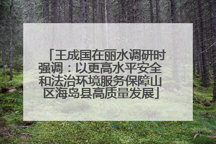 王成国在丽水调研时强调：以更高水平安全和法治环境服务保障山区海岛县高质量发展