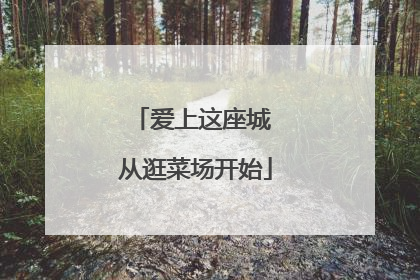 爱上这座城 从逛菜场开始
