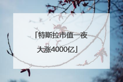 特斯拉市值一夜大涨4000亿