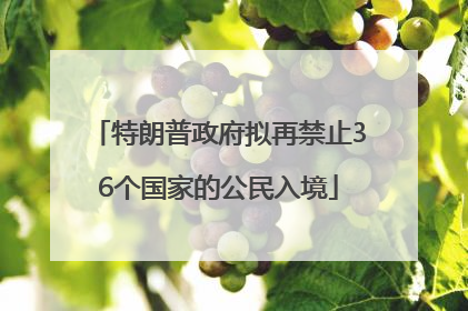 特朗普政府拟再禁止36个国家的公民入境