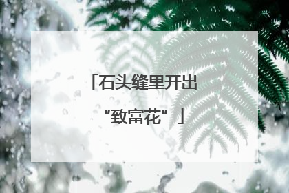石头缝里开出“致富花”