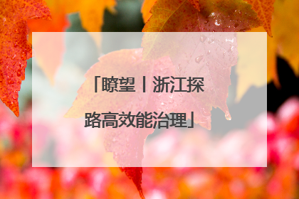 瞭望丨浙江探路高效能治理