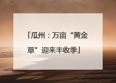 瓜州：万亩“黄金草”迎来丰收季