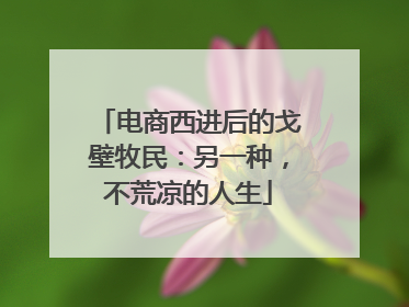 电商西进后的戈壁牧民：另一种，不荒凉的人生