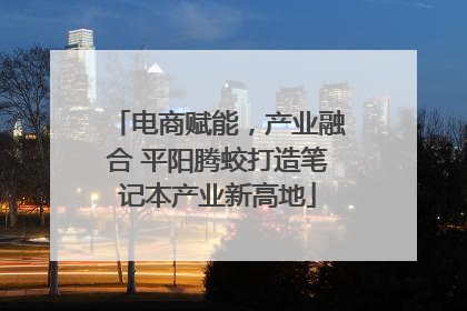 电商赋能，产业融合 平阳腾蛟打造笔记本产业新高地