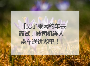 男子乘网约车去面试，被司机连人带车送进湖里！