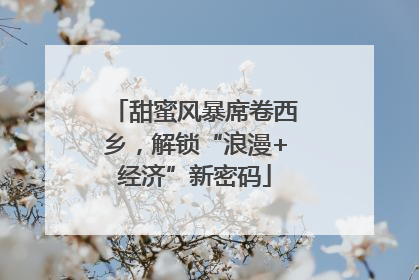甜蜜风暴席卷西乡，解锁“浪漫+经济”新密码