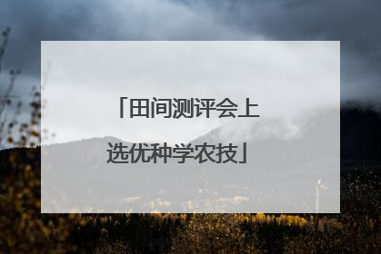 田间测评会上选优种学农技