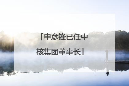 申彦锋已任中核集团董事长