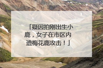 疑因拍刚出生小鹿，女子在市区内遭梅花鹿攻击！