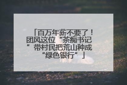 百万年薪不要了！团风这位“茶痴书记”带村民把荒山种成“绿色银行”
