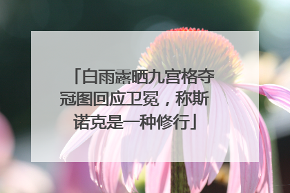 白雨露晒九宫格夺冠图回应卫冕，称斯诺克是一种修行