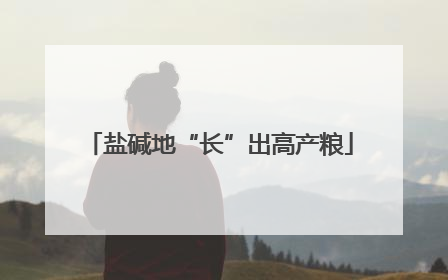 盐碱地“长”出高产粮